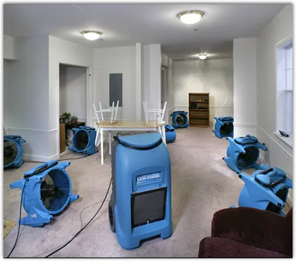 Odor Removal & Deodorization in Truth or Consequences, NM
