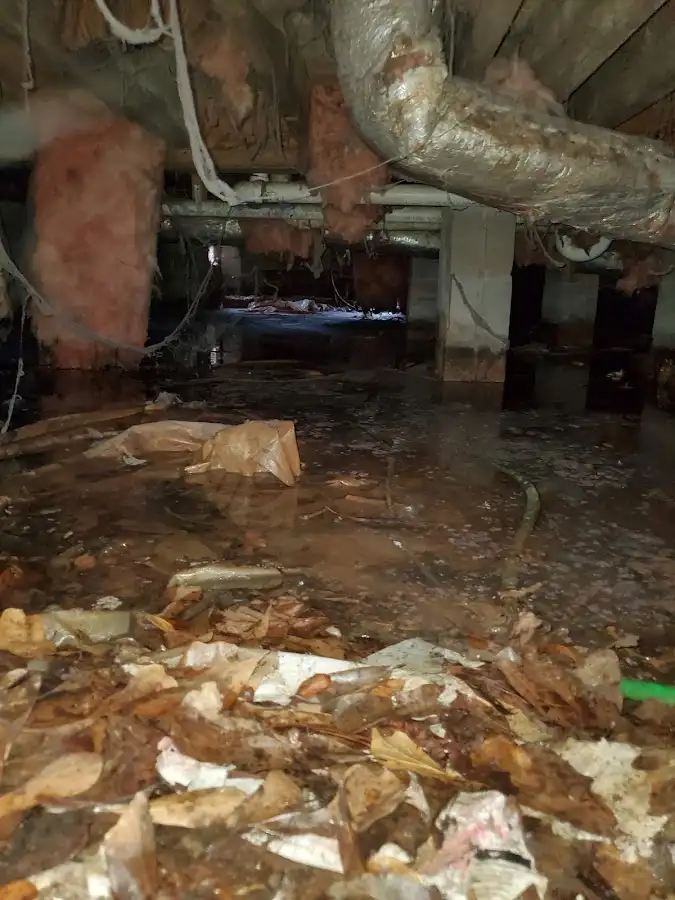 Crawl space flood assessment for Leak Detection & Repair in Truth or Consequences